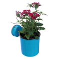 thumbnail image 2 of Wall Mates Push 'N Stay Round Suction Flower and Plant Holder, 2 of 5