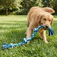 thumbnail image 6 of Mammoth Flossy Chews Extra Large 36 Inch 5 Knot Cottonblend Tug Rope Dog Toy, Durable Rope Chew Toy for Large Dogs Over 80 lbs, Assorted Colors, 6 of 9