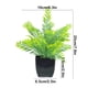 thumbnail image 2 of Maceta de plantas decorativas verdes artificiales, 2 of 6