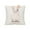 #01, variant on Sruoe Easter Pillow Covers, 18x18" Decorative Pillow Covers Bunny, Easter Decor Easter Decorations Rabbit Bunny Throw Pillowcase for Couch Chair Sofa Bed