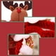 thumbnail image 3 of Pequeño bolso bandolera para teléfono móvil, funda para teléfono móvil con cartera colgante, bolso bandolera de piel sintética, pasaporte, funda para teléfono móvil con ranura para tarjetas, correa, 3 of 5