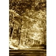 thumbnail image 2 of Alan Hausenflock 13x18 Gallery Wrapped Canvas Wall Art Titled - Autumn Wood Road III, 2 of 4