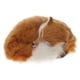 thumbnail image 1 of Dormir Sunnimix Piel de Zorro Adorno Interior Animal Color Amarillo, 1 of 8