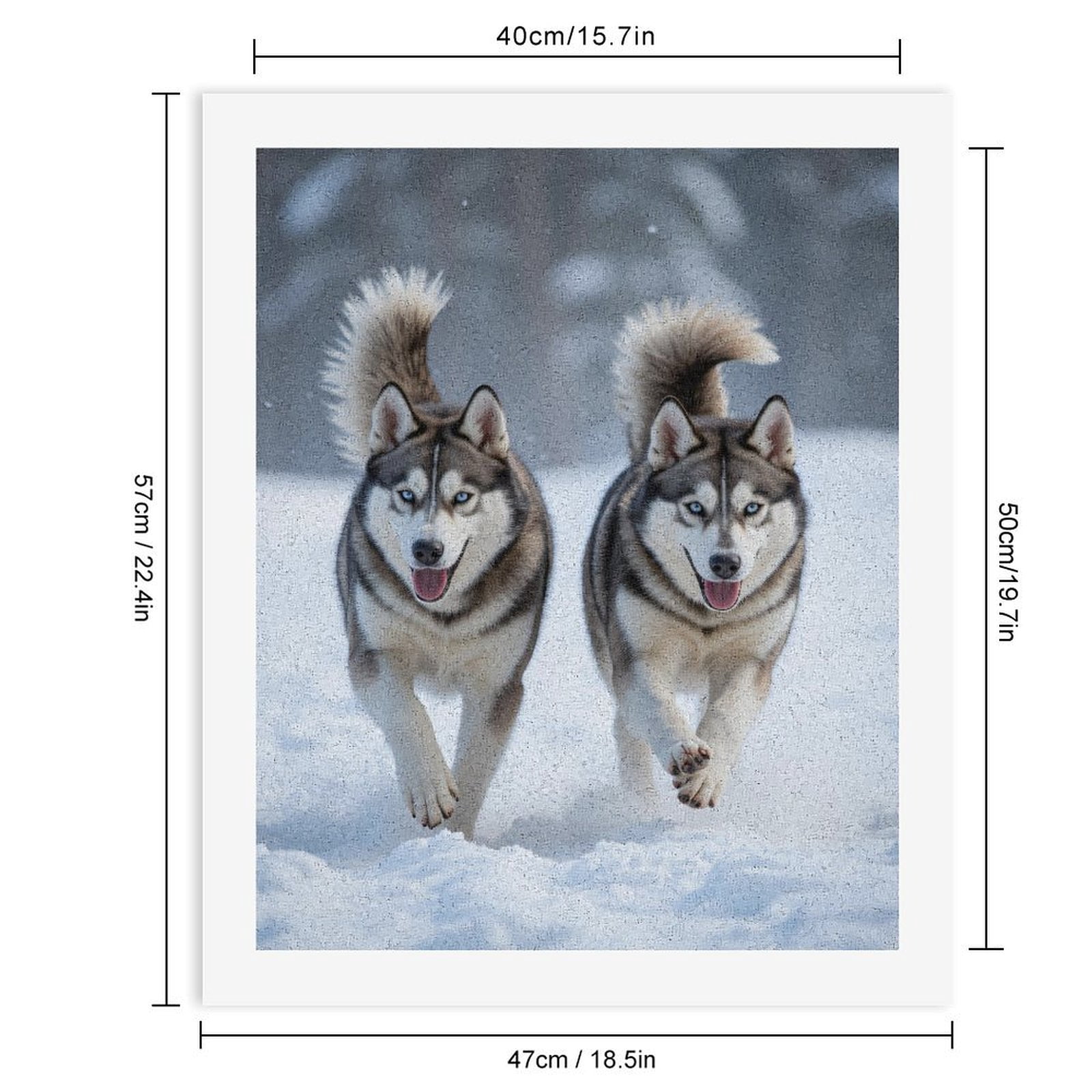 Paint by Numbers Kit for Adults, Siberian Huskies Running Winter Snow Paint by Numbers, Easy Paint by Numbers Kit for Adults Beginner, DIY Adult Paint by Number Kits on Canvas, Home Decor