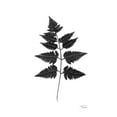 thumbnail image 2 of Pattinian, Merri 11x14 White Modern Wood Framed Museum Art Print Titled - Black Pressed Leaves, 2 of 4