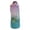 Purple, variant on 2000ml Large Capacity Sports Water Bottle Gradient Color BPA-Free Plastic Portable Hydration Jug with Straw for Adults Kids Summer Outdoor Gym Travel Camping