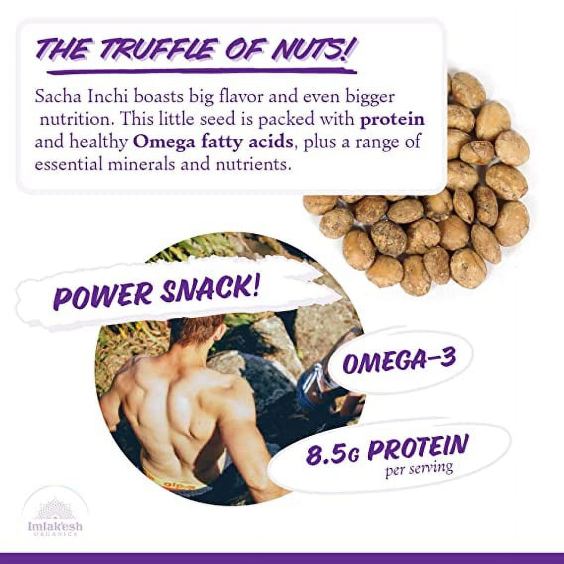 mlak'esh Organics, Sacha Inchi Nuts (16-Ounce Glass Jar), Protein Super-Nuts — 0 Net Carbs | Keto | Paleo | Organic | Regenerative | Protein | Gluten-Free | Non-GMO Pack of 6