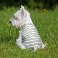 thumbnail image 6 of Reusable Dog Diapers Female Dog Period Diapers Washable Puppy Sanitary Panties with Adjustable Suspender Pet Underwear Jumpsuits for Female Doggy Doggie Puppy, 6 of 7