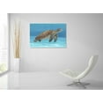 thumbnail image 5 of Epic Art 'Ocean Sea Turtle I' by Tim O'Toole, Acrylic Glass Wall Art, 36"x24", 5 of 5