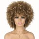 thumbnail image 1 of Peluca corta afro rizada para cosplay, sintética, para mujer, 1 of 1