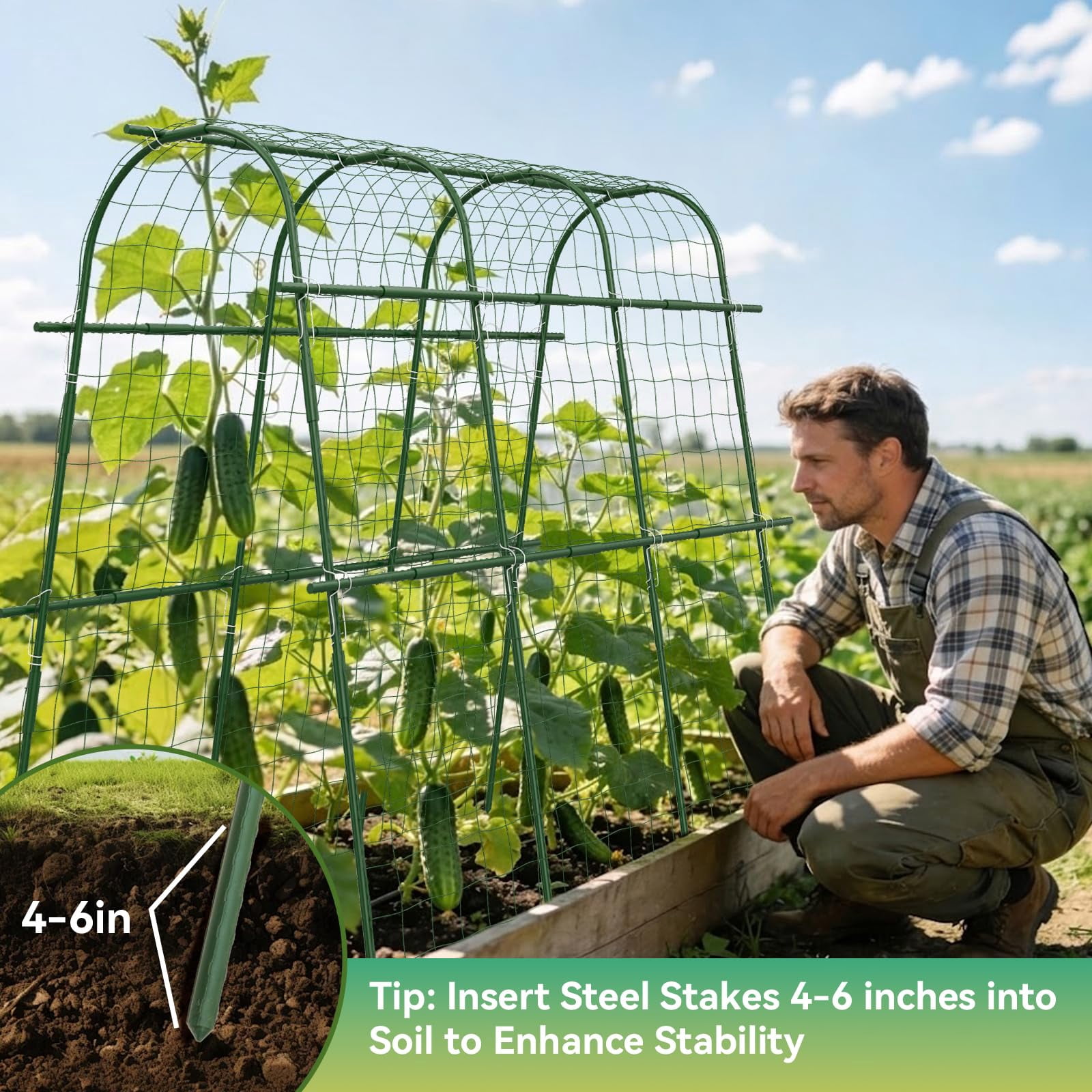 65"*48" Cucumber Trellis For Raised Bed  U-shape Garden Climbing Plants Outdoor Metal Arch Vegetables Detachable Plant Support Tomato Squash