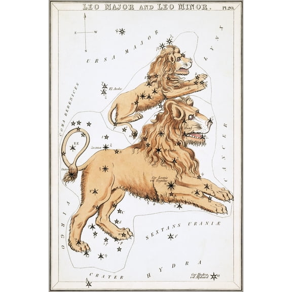 24"x36" Gallery Poster, Leo Major Leo Minor constellation astronomy astrology map 1825