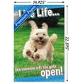 thumbnail image 3 of Avanti - Dog Joy Wall Poster with Push Pins, 14.725" x 22.375", 3 of 3