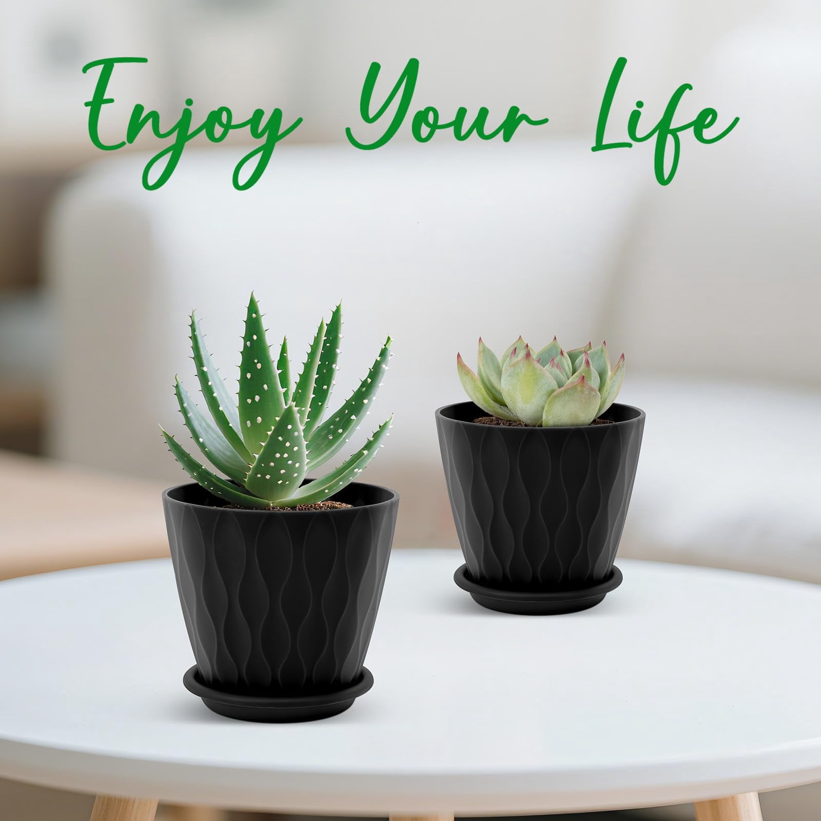 Plant Pots