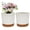 White, variant on 8inch Resin Plant Pot Circular Separation Succulents Planter Flowerpot with Drainage Tray Plant Growth Cultivation Pot