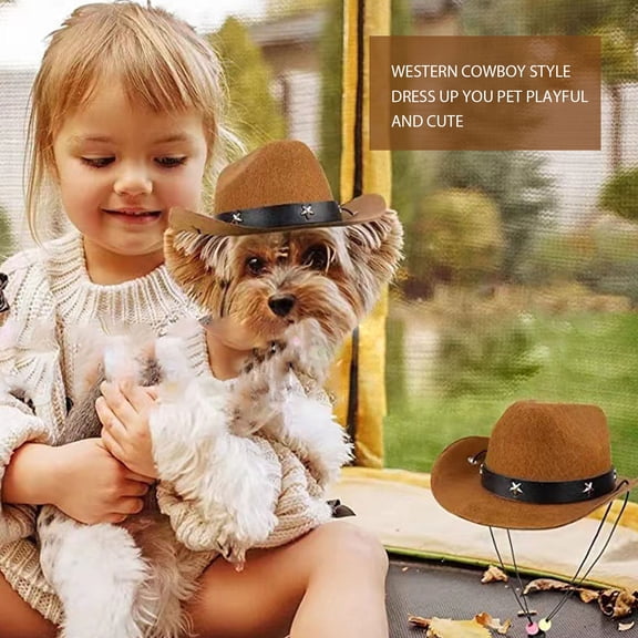 Western Cowboy Pet Hat - Mini Denim Party Hat with Detachable Headband for Dogs, Sunshade & Birthday Accessory (One Size Fits Most, Woolen Fabric)