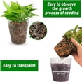 thumbnail image 2 of CUITING 30 Pack Plants Nursery Pot Soft Clear Plastic Planter 5 Sizes Seed Starting Pots Flower Plant Pots with Drainage Hole Plant Container for Seedlings  Vegetable, 2 of 8