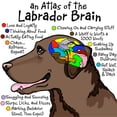 thumbnail image 3 of CafePress - Chocolate Lab Brain T Shirt - Men's Classic Graphic Cotton T-Shirt, 3 of 4