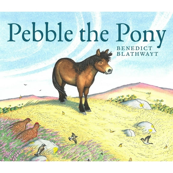 Pebble the Pony (Paperback)