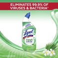thumbnail image 4 of Limpiador para inodoros Lysol Cling Gel Country Scent 720 ml x3, 4 of 6