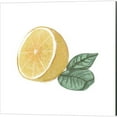 thumbnail image 3 of Great Art Now Citrus Limon by Bannarot 3 Piece Canvas Art Set Each 14W x 14H, 3 of 4
