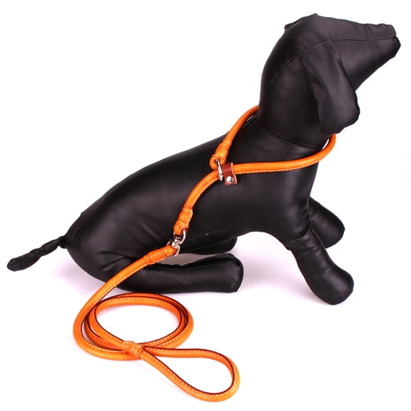 Small Pet Dog Brown Pleather Training Leash w/ Adjustable Traction Slip Collar