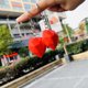 thumbnail image 2 of GOOHOCHY 6 llaveros de San Valentín con forma de corazón, para bolso de coche, regalo, color rojo, 2 of 8
