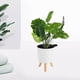 thumbnail image 5 of Maceta redonda con patas de madera para interior y exterior. Blanco M, 5 of 9
