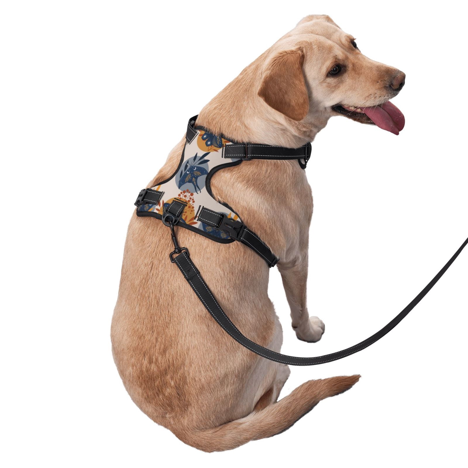 Vsdgher Vintage Botanical Butterfly Art Dog Harness, No-Pull Pet Harness, Dog Vest, Pet Vest for Small to Large Dogs-Large