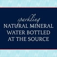thumbnail image 3 of S.Pellegrino Sparkling Natural Unflavored Mineral Water, 202.8 fl oz, 12 Pack Bottles, 3 of 6