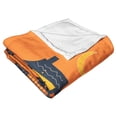 thumbnail image 5 of Warner Bros Scooby Doo Haunted House Kids Silk Touch Throw Blanket, 5 of 5