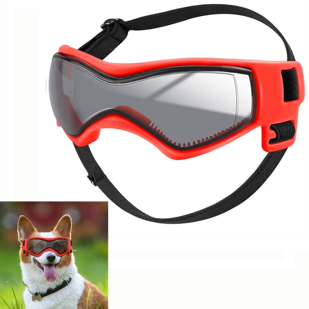 Gafas para Perro QUMY con Protección UV y a Prueba de Viento para Razas Pequeñas y Medianas