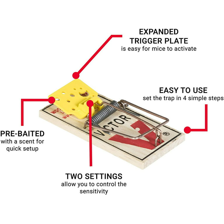 How to Set a Victor Easy Set Mouse Trap 
