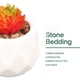 thumbnail image 3 of Plantas en maceta con formas-Decoraciones de oficina plantas en maceta Vhermosa CPB-YL619-4, 3 of 5