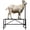 No Ramp, variant on Goat Stand, Height Adjustable Sheep Restraint Stand, Heavy Duty Grid Mesh Livestock Care Stand With Fixing Collar And Chain For Hoof Trimming Shearing Vaccine Use On Farm Ranch Veterinary Station
