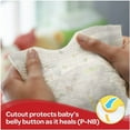 thumbnail image 5 of Huggies Gentle Care Preemies Diapers, Size P, 30-Count, 5 of 10