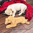 thumbnail image 2 of SUWJELANY Labrador Dog Stuffed Animal, 21.7"Yellow Adorable Labradoodle Dog Plush, Huggable Dog Pillow Gift for Kids Girlfriend, 2 of 6