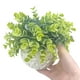 thumbnail image 4 of Planta artificial pequeña, plantas artificiales como las reales en maceta, plantas decorativas para baño, plantas decorativas en maceta, plantas artificiales decorativas, 4 of 4