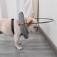 thumbnail image 2 of Blind Dog Harness Guiding Device Dog Bumpe for Small Medium Large Dogs Protective Blind Dog Pet Ant-Yvan 26-27s, 2 of 5