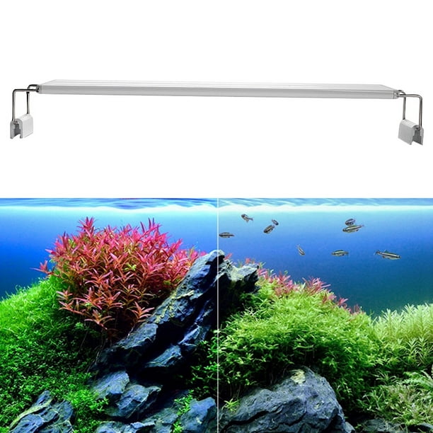 Lampe LED Haute Luminosité Pour Aquarium, Lumière Pour Aquarium, éclairage  Pour Aquarium, Décoration D'intérieur Pour Aquarium Domestique 