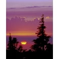 thumbnail image 2 of Kelley, David 15x18 White Modern Wood Framed Museum Art Print Titled - Oregon, Mt Hood Pine trees silhouetted by sunset, 2 of 4