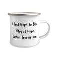 thumbnail image 2 of I Just Want to Be a Stay at Home Boston Terrier Mom. 12oz Camper Mug, Boston Terrier Dog, Fun Gifts For Boston Terrier Dog, 2 of 2