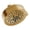 Brushed Bronze, variant on Gerber D460055BB Parma 2 GPM Multi Function Shower Head - Bronze