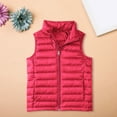 thumbnail image 2 of Ruyang Boys Girls Puffer Vest Kids Sleeveless Down Jackets Lightweight Water-proof Zip Up Mock Neck Warm Quilted Gilet, 2 of 7