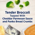 thumbnail image 3 of Birds Eye Cheddar Broccoli Bake, Frozen Side, 13 oz. Box, 3 of 9