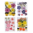 thumbnail image 1 of 4 Bolsas de Flores Secas Prensadas para Adornos de álbumes de Recortes, Manualidades, Decoraciones, 1 of 7
