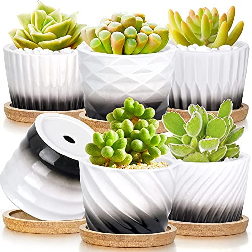 3 Inch Ceramic Ice Small Cute Succulent Plant Pots with Drainage for Decoration 