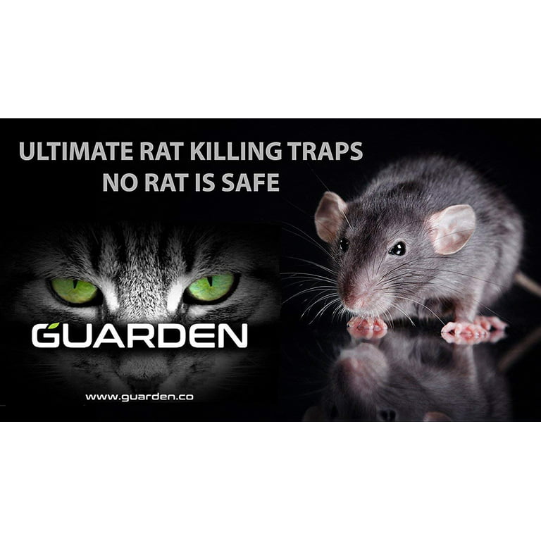 Large Big Spring Rat Trap Mouse Traps Snap Traps Killer Pack of 6 Reusable  Easy to Bait and Set Indoors Outdoors