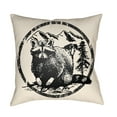 thumbnail image 1 of Artistic Weavers LGCB2009-1616 Artistic Weavers Lodge Cabin Raccoon Ridge Poly Filled Pillow - Black & Beige - 16 x 16 ft., 1 of 7