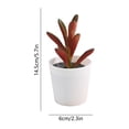 thumbnail image 2 of Artificial Potted Plants with White Plastic Pots for Home and Office Decor, Small Flower Arrangements for Indoor Spaces, 2 of 5